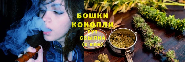 шишки Новокубанск
