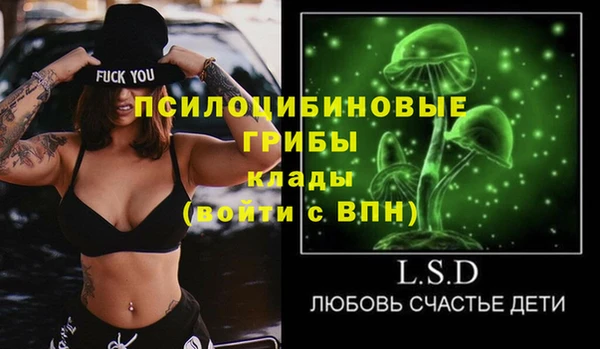 apvp Новозыбков