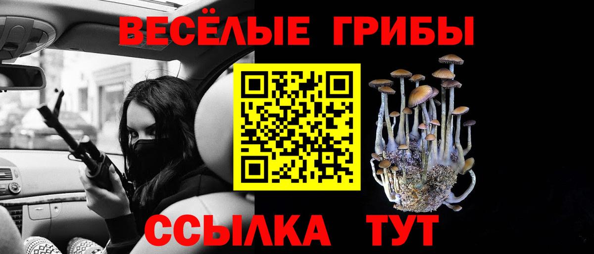 Галлюциногенные грибы прущие грибы  Сарапул  Галлюциногенные грибы мицелий 